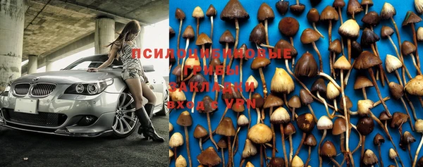 мдма Белокуриха