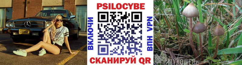 KRAKEN зеркало  Черняховск  Галлюциногенные грибы Cubensis 
