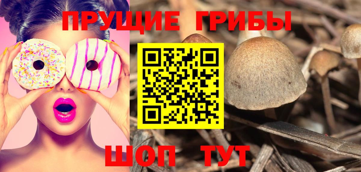 Галлюциногенные грибы Magic Shrooms Черняховск