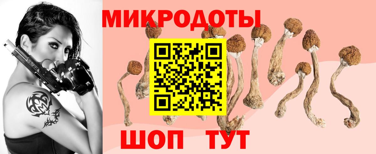 Черняховск  Галлюциногенные грибы Magic Shrooms  дарнет шоп  Вход с VPN  Галлюциногенные грибы прущие грибы 